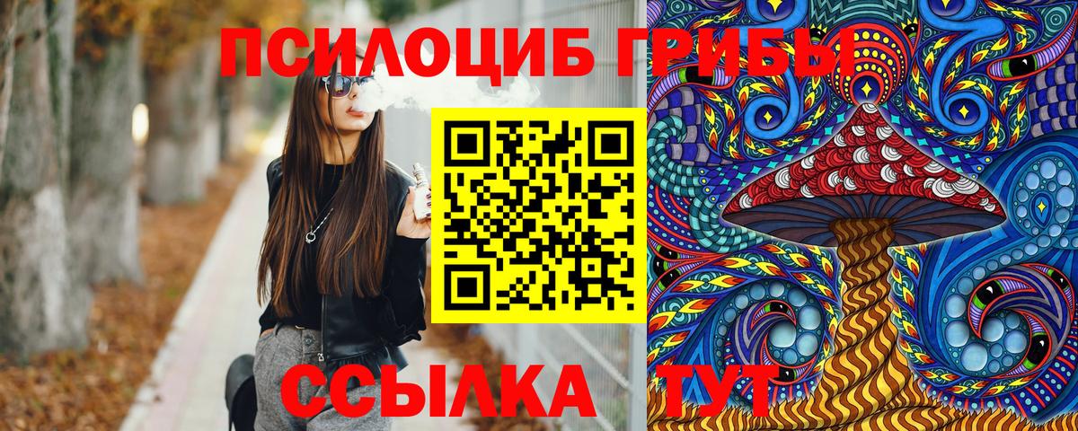 Тихвин  Псилоцибиновые грибы прущие грибы  Вход с VPN 